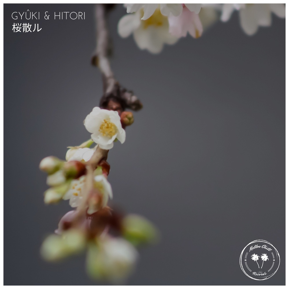 桜散ル