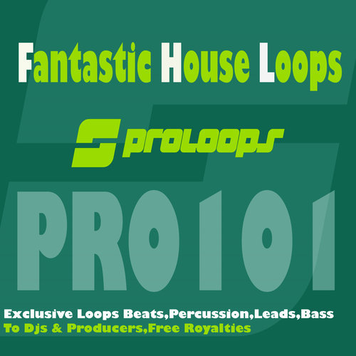 Fantastic House Loops Bass