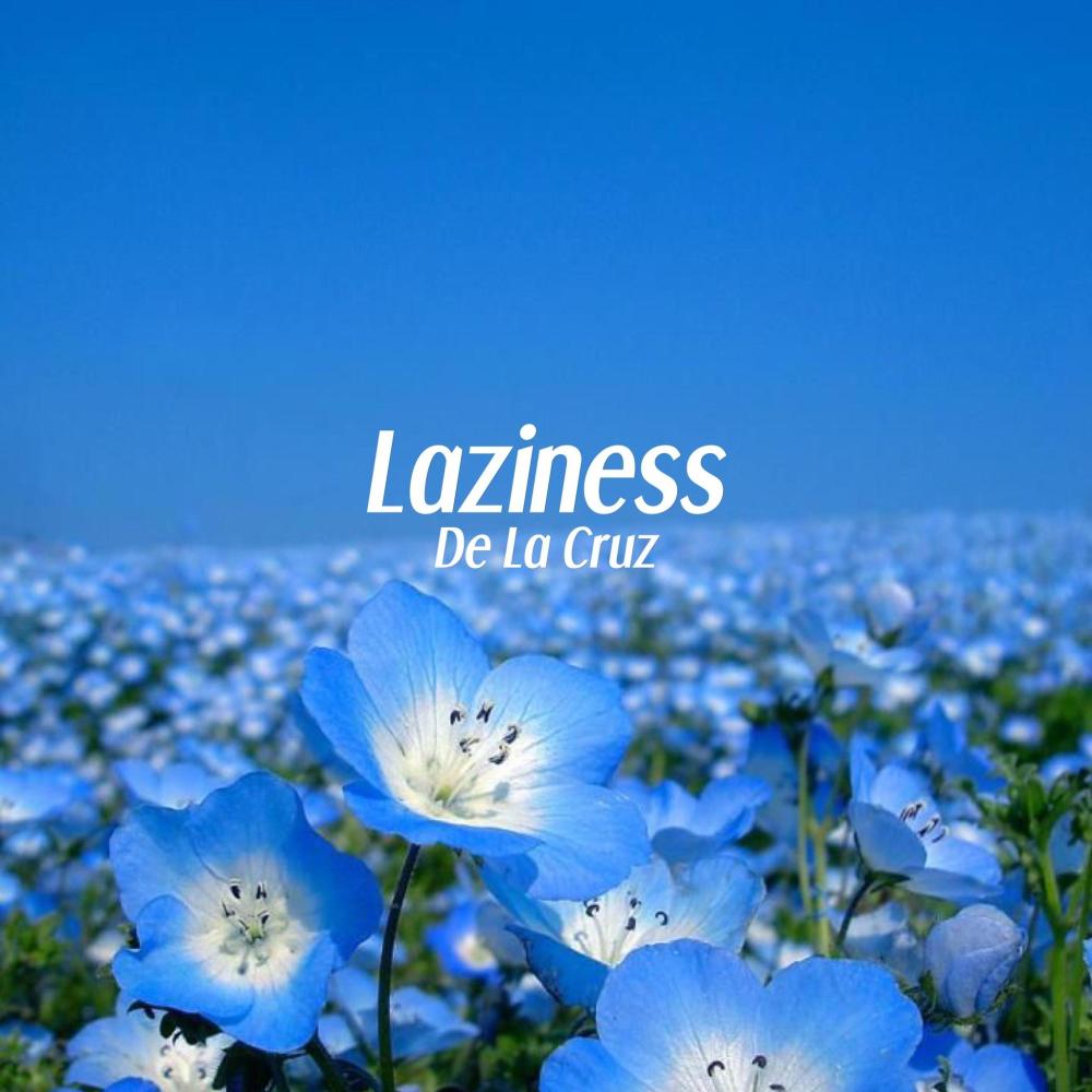Laziness