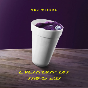 Listen to Everyday on Trips, Pt. 1 (Explicit) song with lyrics from VDJ WIZKEL