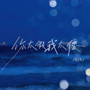 方辰的专辑你太假我太傻