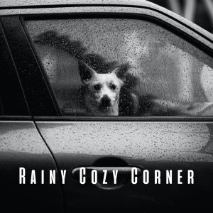 Rainy Cozy Corner: Tranquil Pink Noise for Doggy Bliss