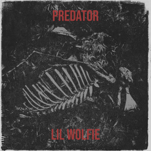 Listen to No Rim (Explicit) song with lyrics from Lil Wolfie