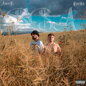 Listen to SSA (Explicit) song with lyrics from Anoo-B