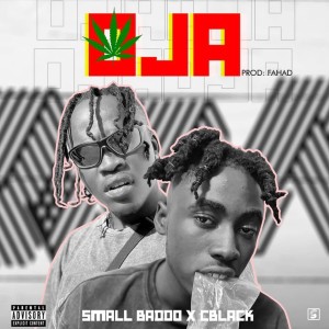 Album Oja from Smallbaddo