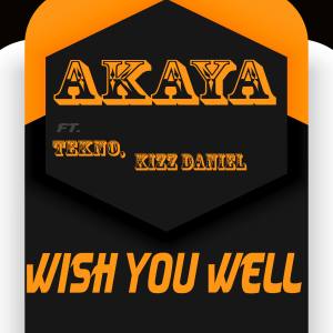 Listen to Wish You Well song with lyrics from Akaya