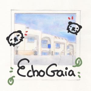ดาวน์โหลดและฟังเพลง Echo Gaia พร้อมเนื้อเพลงจาก Dreeks
