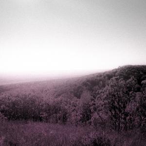 Album Stay (Neon Dreams) (Patches Remix) from Beach Ratz