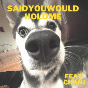 Album saidyouwouldholdme from 