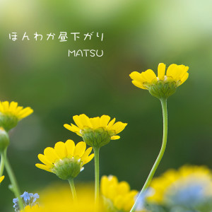 Album Soft and Pleasant Afternoon from MATSU
