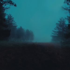 Listen to nibiru song with lyrics from .diedlonely