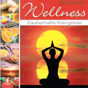 Album Wellness - Zauberhafte Klangreise from Korte