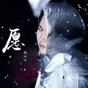 Listen to Yuan (Hu Qiang Ban) song with lyrics from 郑冰冰