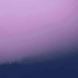 收聽Azerea的all I wish was nothing歌詞歌曲