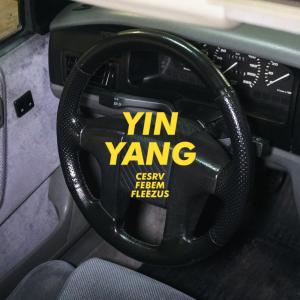 收听Febem的YIN YANG歌词歌曲