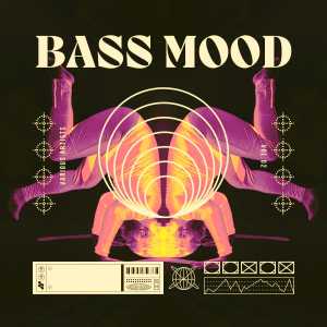 Album Bass Mood, Vol. 2 (Explicit) from Various