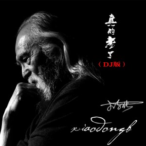Listen to 真的老了 (DJ版) (完整版) song with lyrics from 小东北
