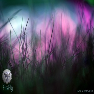 ดาวน์โหลดและฟังเพลง Back & Forward พร้อมเนื้อเพลงจาก Firefly
