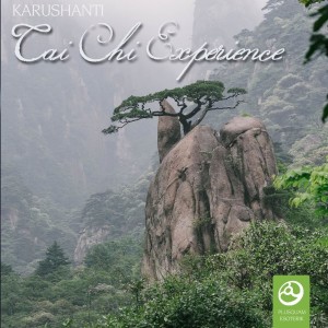Namaste的专辑Tai Chi Experience