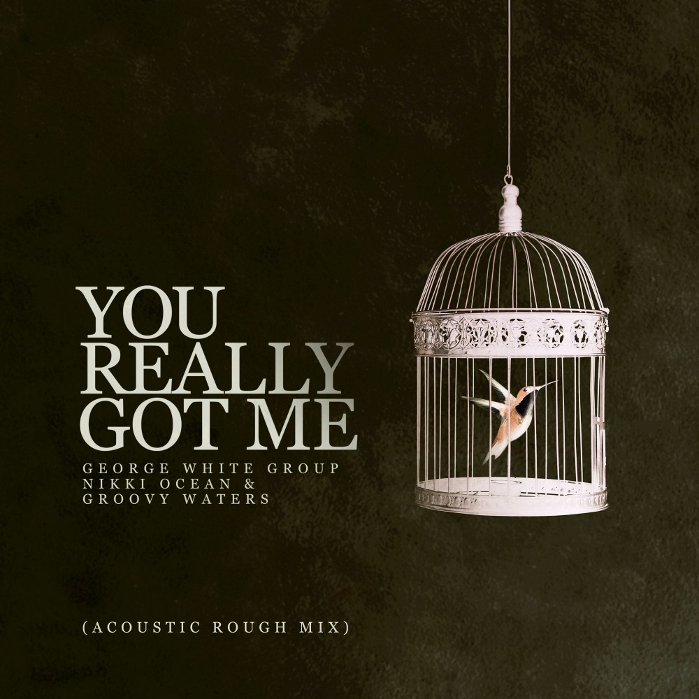You Really Got Me (Acoustic Rough Mix)