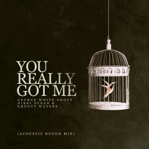 ดาวน์โหลดและฟังเพลง You Really Got Me (Acoustic Rough Mix) พร้อมเนื้อเพลงจาก George White Group