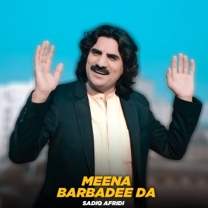 Sadiq Afridi的专辑Meena Barbadee Da