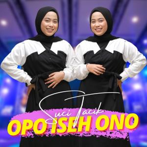 Dengarkan lagu Opo Iseh Ono nyanyian Suci Tacik dengan lirik