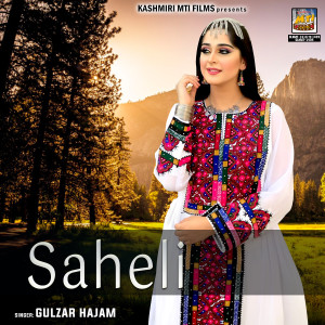 Listen to Vapas Fartai song with lyrics from Gulzar Hajam