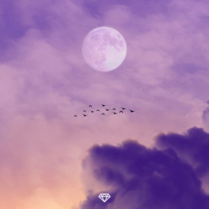 ดาวน์โหลดและฟังเพลง Isolation พร้อมเนื้อเพลงจาก Zach Diamond