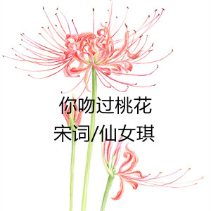 Listen to 你吻过桃花 song with lyrics from 宋词吖