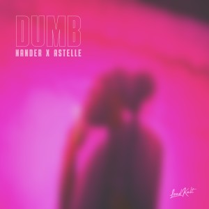 Album Dumb from Nander