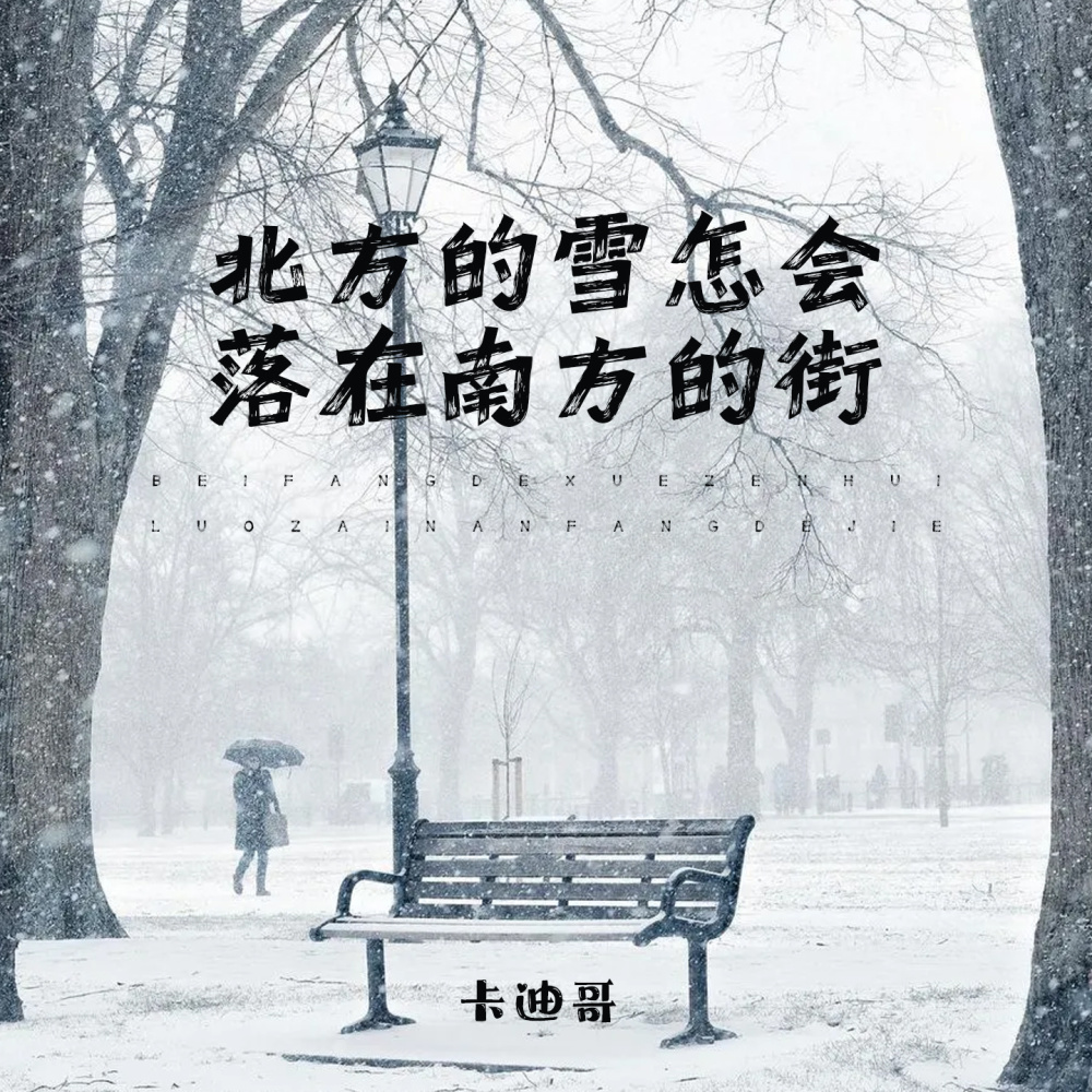 北方的雪怎会落在南方的街 (伴奏)