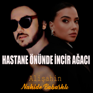 Alişahin的專輯Hastane Önünde İncir Ağacı
