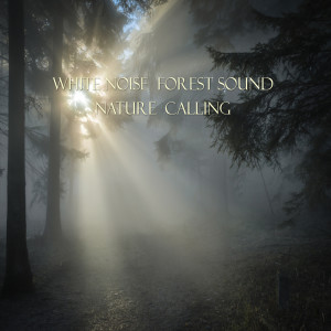 收听네이쳐콜링的숲소리 Forest Sound歌词歌曲