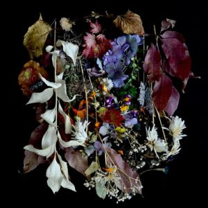 收聽PAWS的The Slow Sprint (feat. Meredith Godreau)歌詞歌曲