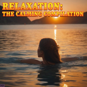 Album Relaxation: The Calming Compilation oleh Acoustic Moods Ensemble