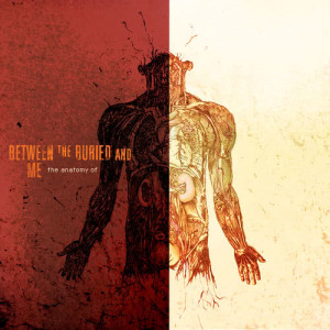 ดาวน์โหลดและฟังเพลง Forced March พร้อมเนื้อเพลงจาก Between The Buried And Me