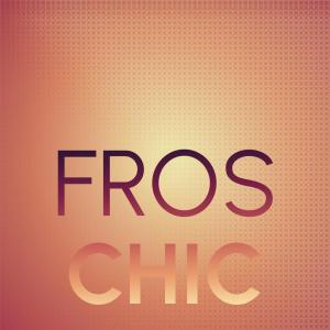 Various的专辑Fros Chic