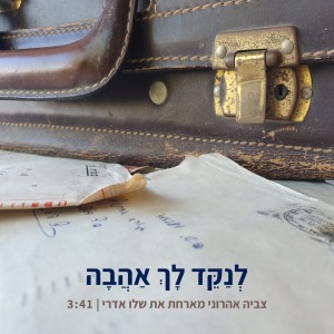 שלו אדרי的專輯לנקד לך אהבה