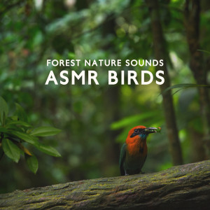 Listen to Stimulating Green Energy song with lyrics from Nature Zone