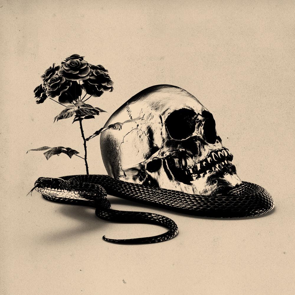 Dead Rose