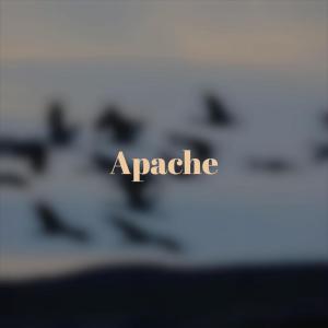 Various Artist的专辑Apache