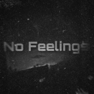 Album No Feelings oleh Stormzy