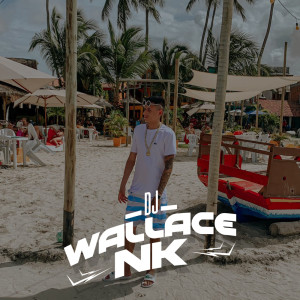 Listen to 3 MINUTINHOS PRA OUVIR NO ANO NOVO song with lyrics from Dj Wallace NK