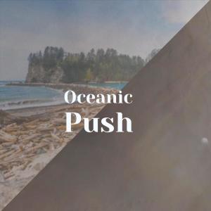 Album Oceanic Push from 