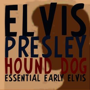 收聽Elvis Presley的Hound Dog歌詞歌曲