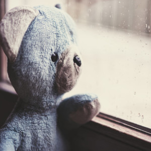 Listen to Rain Reassured song with lyrics from rainy bear