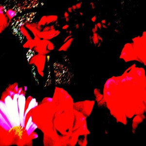 Listen to Beethoven Fur Elise (Dance Remix) song with lyrics from MAMI YOSHIDA