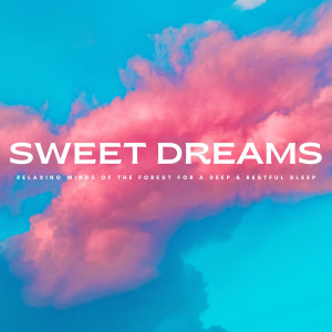 อัลบัม Sweet Dreams: Relaxing Winds Of The Forest For A Deep & Restful Sleep ศิลปิน Deep Sleep