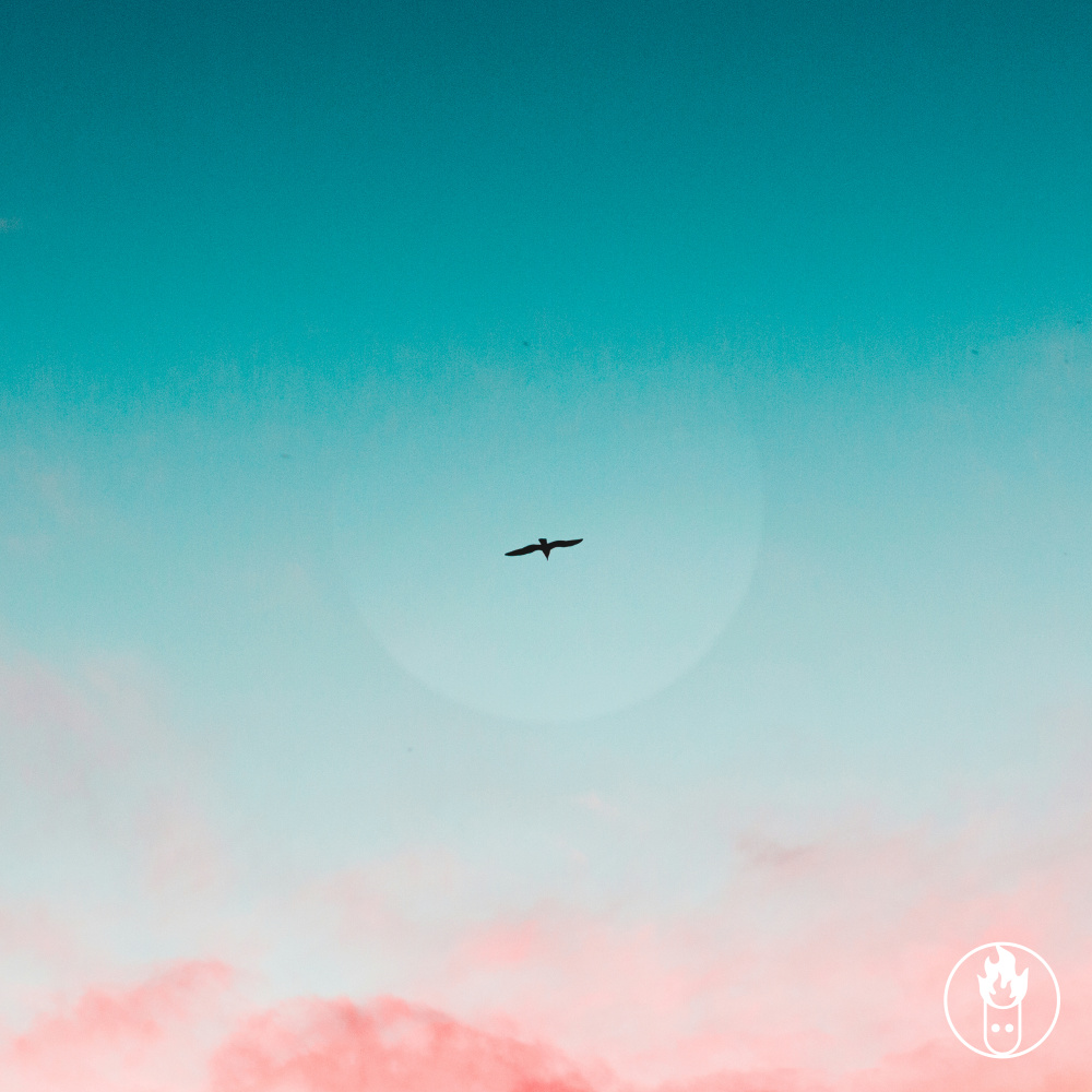 Free (Radio Edit)